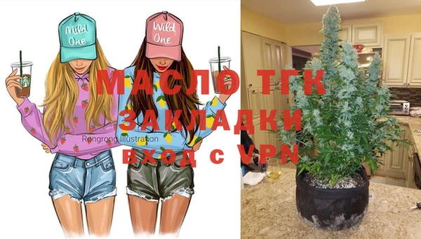 гашик Беломорск