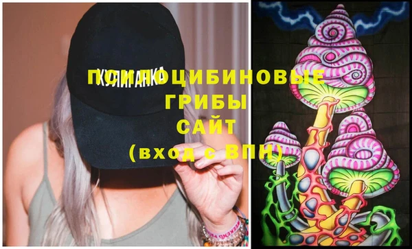 гашик Белоозёрский