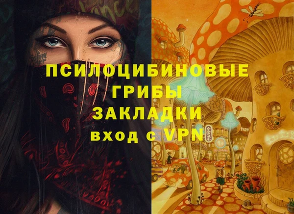 гашик Белоозёрский