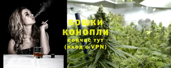 гашик Белоозёрский